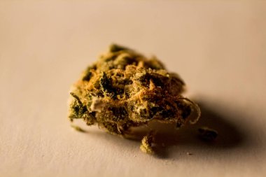 Marihuana tomurcuğunun Macro yakın çekimi. Beyazda izole edilmiş.