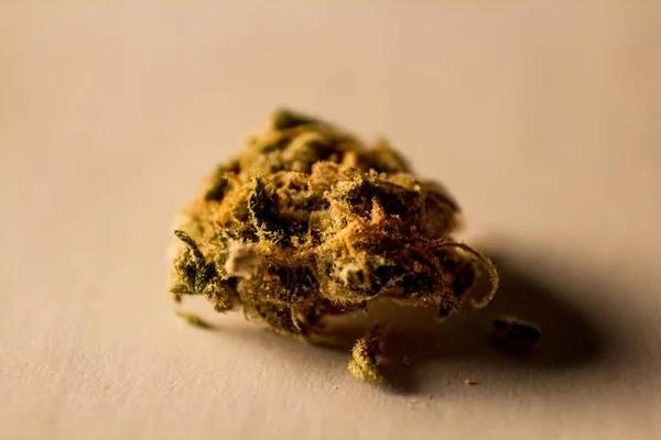 Marihuana tomurcuğunun Macro yakın çekimi. Beyazda izole edilmiş.
