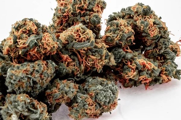 Крупним планом купа двох різних видів марихуанових бруньок змішаних — стокове фото