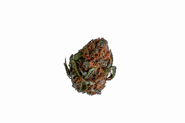 Eine einzelne isolierte Marihuana-Knospe auf weißem Hintergrund. — Stockfoto