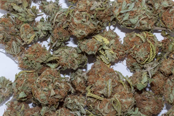 Κοντινό πλάνο του βαθύ πράσινο και κόκκινα μαλλιά μπουμπούκια μαριχουάνας σε ένα μεγάλο — Φωτογραφία Αρχείου