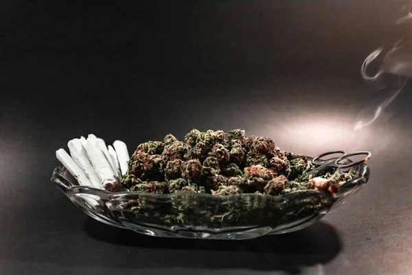 Elegante plato de cristal con capullo de marihuana, tijeras y una docena de porros — Foto de Stock