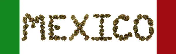 Meksika kelimesi marihuana tomurcuklarıyla beyaz arka planda Meksika bayrağına benzeyen kırmızı ve yeşil çizgilerle yazılmıştır..