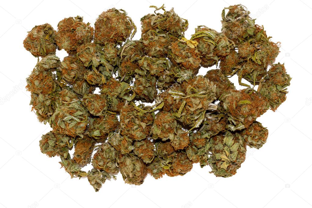 Looking down at a very large pile of marijuana buds with bright 