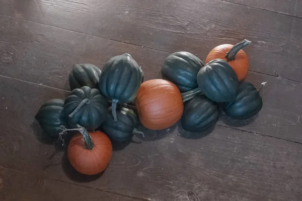 Pumpkins and squash on a barn board floor — Stock Photo, Image