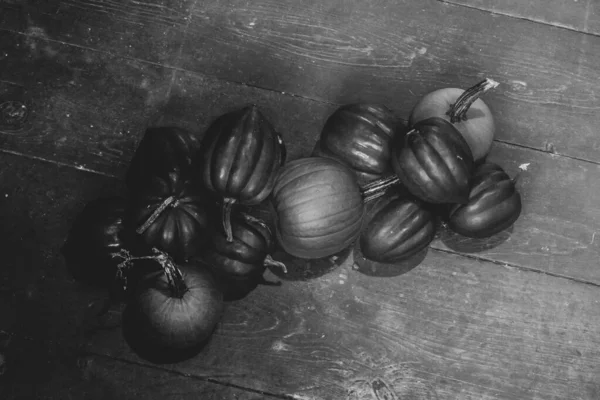 Pumpkins and squash on a barn board floor