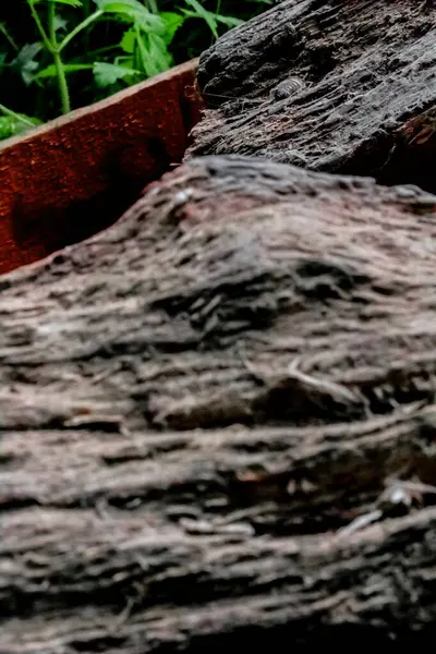 Primer plano de leña envejecida . — Foto de Stock