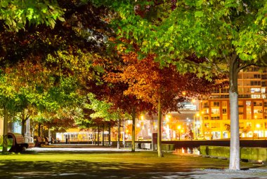 Park yolu kesişmiş ve göl kıyısı boyunca ağaçlandırılmış.