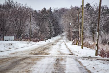 Kuzey 'deki donmuş vahşi doğa.
