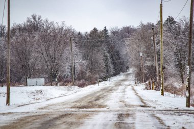 Kuzey 'deki donmuş vahşi doğa.