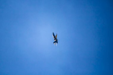 Rcaff Cf-18, Bcatp boyasıyla tek başına hava tatbikatı yapıyor. 