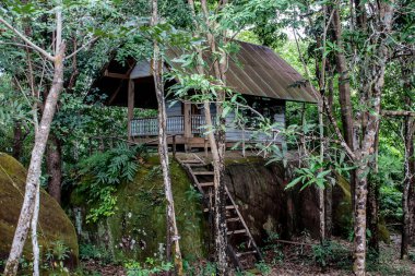 Phu Sing Ulusal Parkı 'nda bir kulübede, Bueng Kan, Tayland