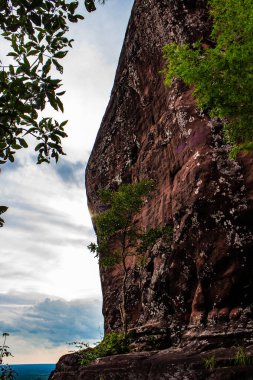 Phu Sing Ulusal Parkı 'ndaki bir uçurumun kenarına bakıyorum, Bueng Kan, Tayland.