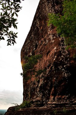 Phu Sing Ulusal Parkı 'ndaki bir uçurumun kenarına bakıyorum, Bueng Kan, Tayland.