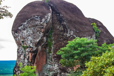 Fil Taşı, Phu Sing Ulusal Parkı, Bueng Kan Tayland, 2017