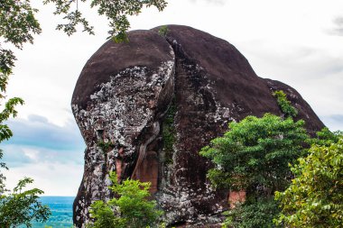 Fil Taşı, Phu Sing Ulusal Parkı, Bueng Kan Tayland, 2017