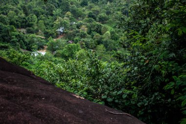 Kuzey Doğu Tayland 'da Phu dağının yamacından aşağıya, orman tepe örtüsünün tepesine bakıyorum..
