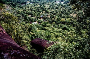 Phu Sing Ulusal Parkı 'nda dağdan aşağı bakan Bueng Kan Tayland, aşağıdaki orman tepe örtüsü..