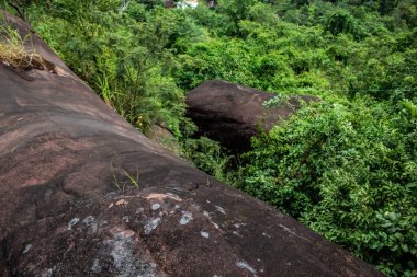 Kuzey Doğu Tayland 'da Phu dağının yamacından aşağıya, orman tepe örtüsünün tepesine bakıyorum..