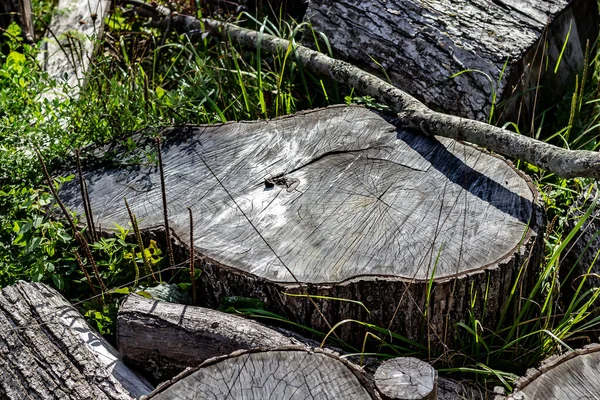 Närbild av ansiktet på en åldrande Log Cut Med en motorsåg — Stockfoto