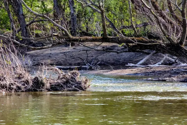 Bažinaté břehy Velké řeky v Kaledonii Ontario, Kanada — Stock fotografie