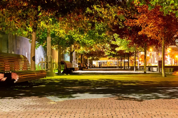 Un sendero de parque entrelazado y arbolado en la zona a lo largo de la orilla del lago en — Foto de Stock