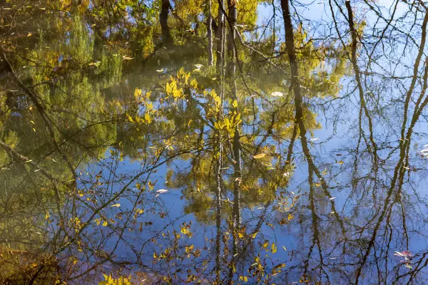 Herbstbäume spiegeln sich in einem ruhigen Teich an einem sonnigen Morgen in tor — Stockfoto