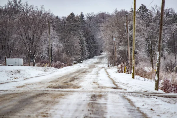 Kuzey 'deki donmuş vahşi doğa.