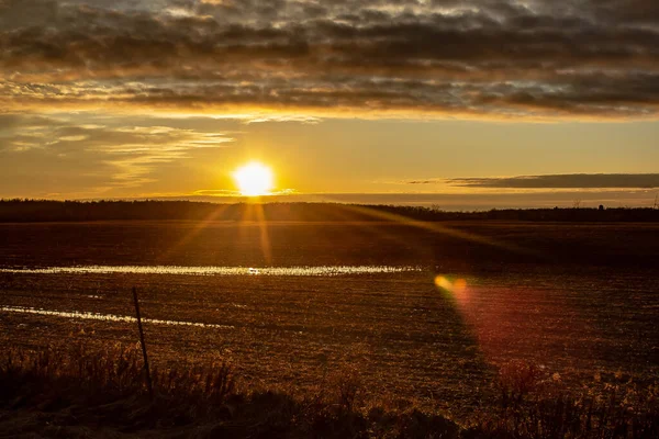 Frozen Christmas Day Sunset over a Farmers Field.