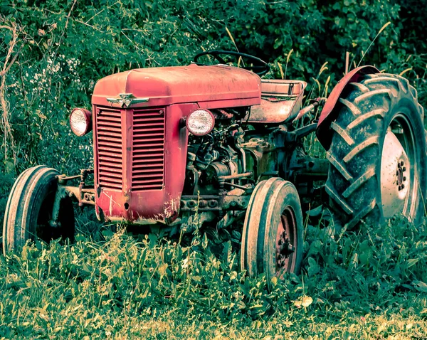 Güneşli bir günde klasik kırmızı bir traktörün tam görüntüsü..