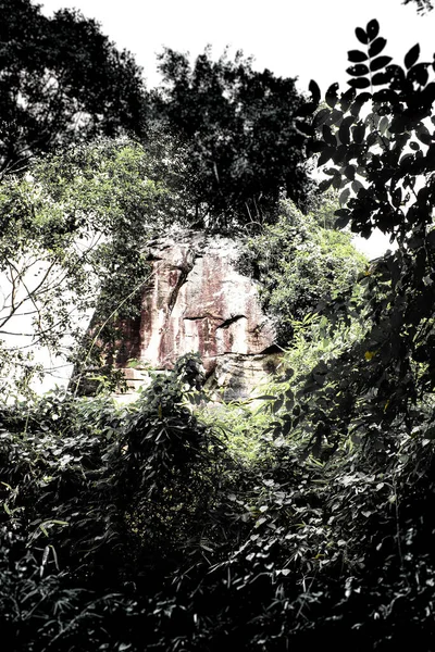 Blick Durch Die Waldbäume Auf Eine Felsformation Phu Sing Nationalpark — Stockfoto