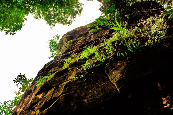 Phu Sing Ulusal Parkı 'ndaki bir kaya oluşumuna bakıyorum, Bueng Kan, Tayland