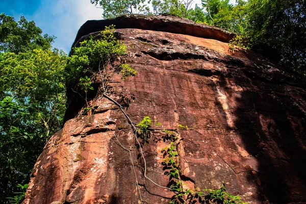Kijkend Naar Een Rotsformatie Phu Sing National Park Bueng Kan — Stockfoto