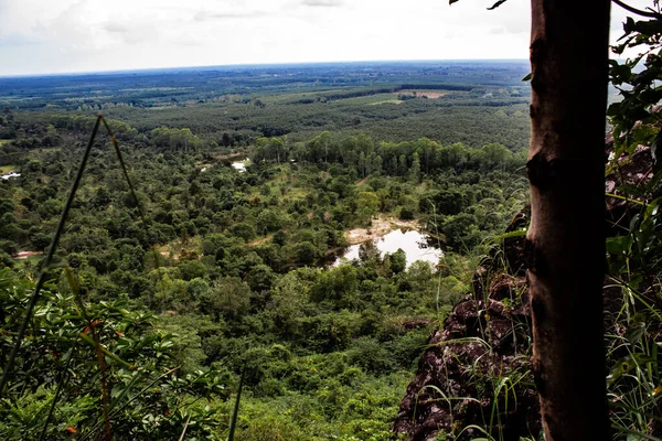 Kuzey Doğu Tayland 'da Phu dağının yamacından aşağı orman tepe örtüsünün tepesindeki ağaçlara bakıyorum..