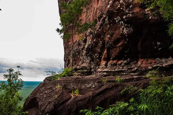 Phu Sing Ulusal Parkı, Bueng Kan, Tayland 'da dağ sırasının kayalık duvarlarından oyulmuş sığ bir mağara..