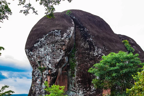 象の石, Phu Sing国立公園, Bueng Kan Thailand, 2017 — ストック写真