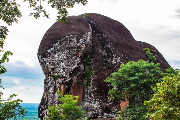 Fil Taşı, Phu Sing Ulusal Parkı, Bueng Kan Tayland, 2017