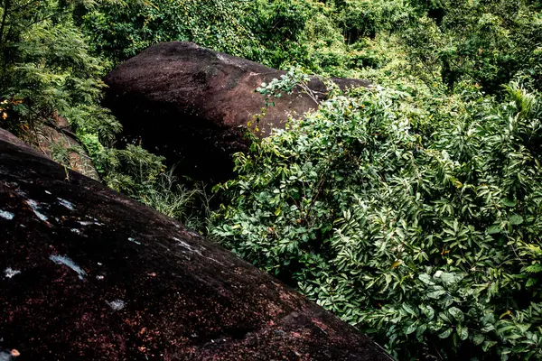 Dağlardan aşağıya, Phu Sing Ulusal Parkı 'na bakıyorum. Büyük kayalar ve orman tepe örtüsü..
