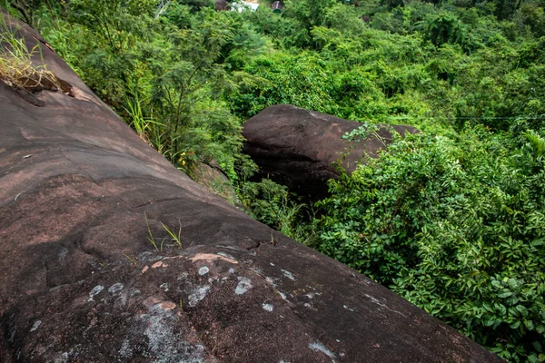 Kuzey Doğu Tayland 'da Phu dağının yamacından aşağıya, orman tepe örtüsünün tepesine bakıyorum..