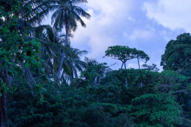 Phuket Eyaleti Tayland 'da Rawaii yakınlarında tenha bir körfez..