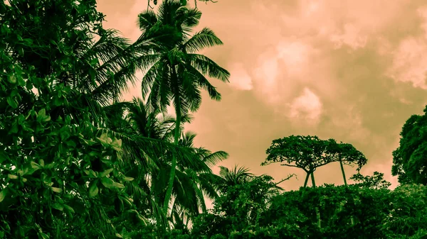 Phuket Eyaleti Tayland 'da Rawaii yakınlarında tenha bir körfez..