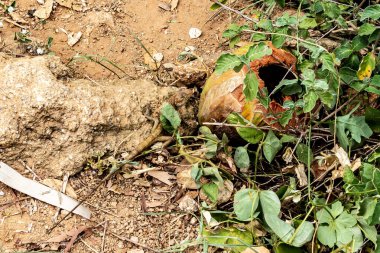 Yaman Mutart 'tan Promthep