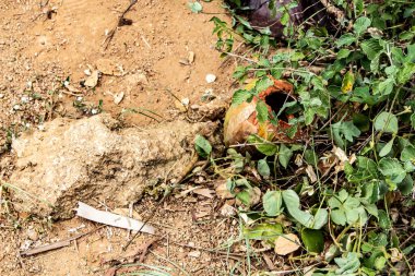 Yaman Mutart 'tan Promthep