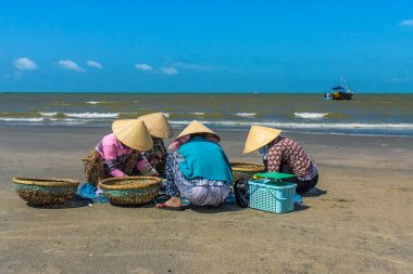 Ba Ria Vung Tau-Vietnam: Kadınlar sınıflandırma ve uzun Hai, Ba Ria Vung Tau Eyaleti, Vietnam, sahilinde balık satış.