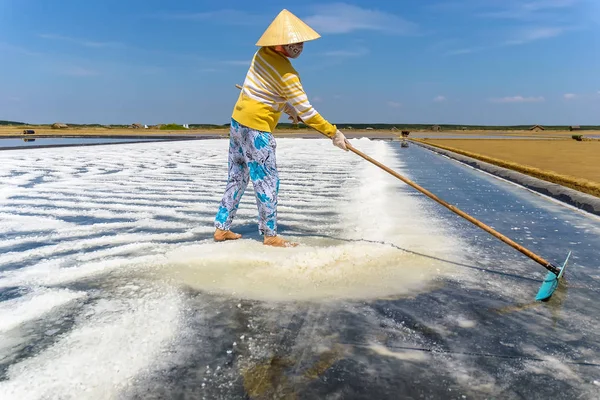 HOCHIMINH CITY- VIETNAM: The women harvesting salt in Can Gio, Hochiminh city, Vietnam.