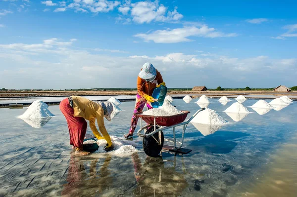 HOCHIMINH CITY- VIETNAM: The women harvesting salt in Can Gio, Hochiminh city, Vietnam.