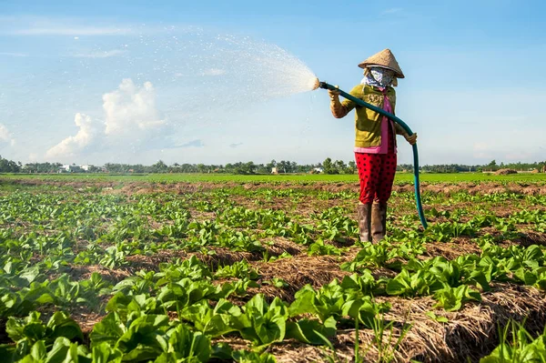 Tien Giang-Vietnam: kadın gitmek Cong, Tien Giang il, Vietnam onu çiftlikte sebze sulama.