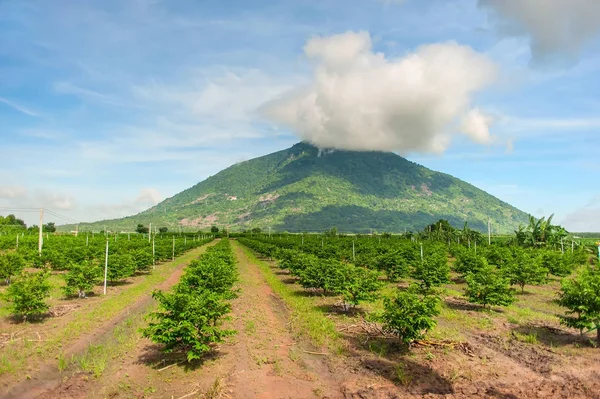 Tayninh - Vietnam: Görünümünü Ba Den dağ Tay Nin'e ilk ayak ili, Vietnam. Onun da hedef turistler için.