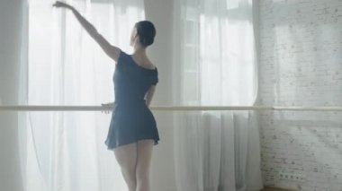 Güzel balerin Barre dans. 