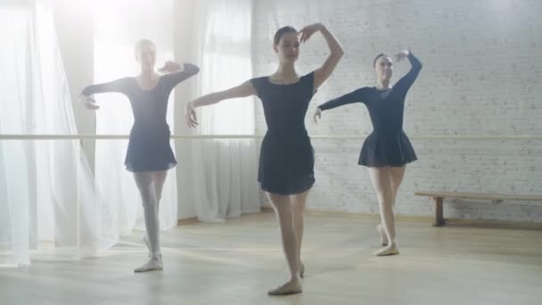 Prachtige ballerina's synchroon dansen. — Stockvideo